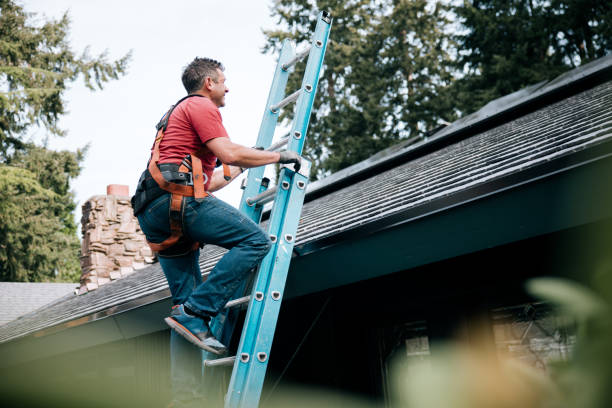 Best Steel Roofing  in Corcoran, MN